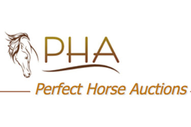 perfect-horse-auctions-webcast