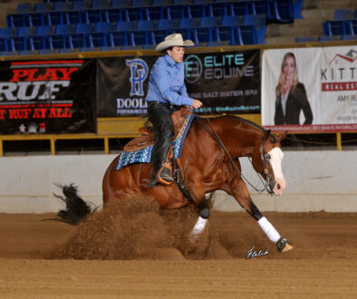 Novice Horse Non Pro L2 Wilmas Gotta Whiz ridden by Lisa Clark Hoffman