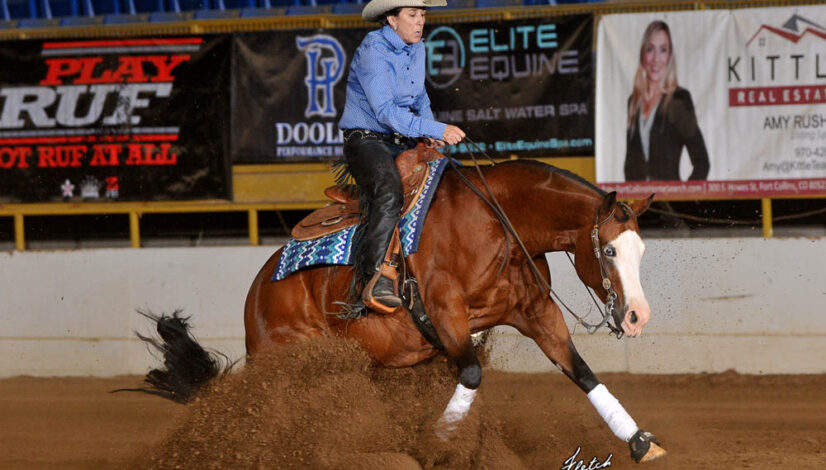 Novice Horse Non Pro L2 Wilmas Gotta Whiz ridden by Lisa Clark Hoffman