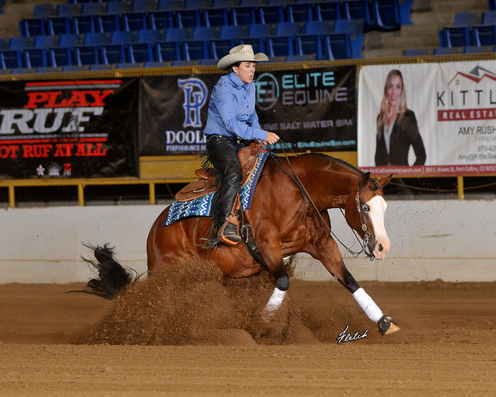 Novice Horse Non Pro L2 Wilmas Gotta Whiz ridden by Lisa Clark Hoffman