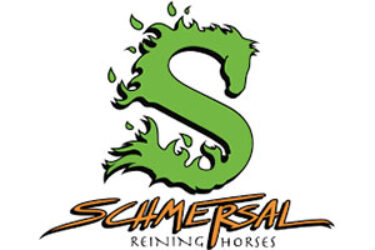 schmersal-reining-webcast