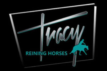 tracy-reining-horses