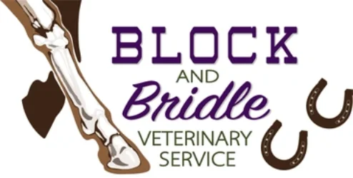 block-and-bridle-vet-services
