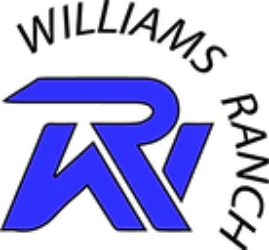 final williams logo-u1924