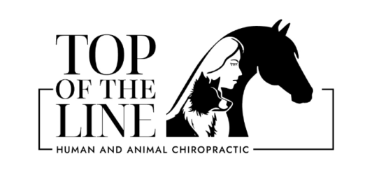 top-of-the-line-chiro