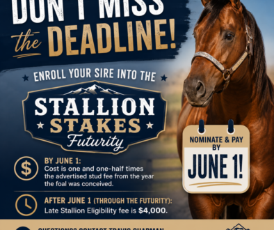 stallion-stakes-deadline